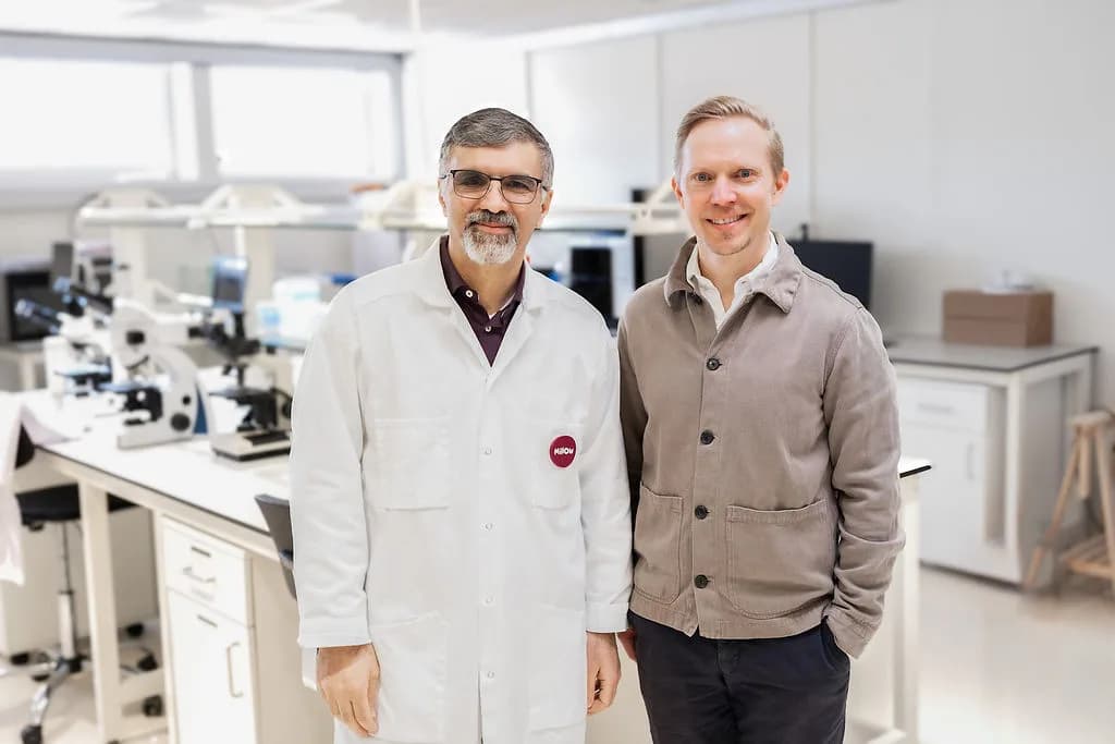 The Millow team at work in the Göteborg lab