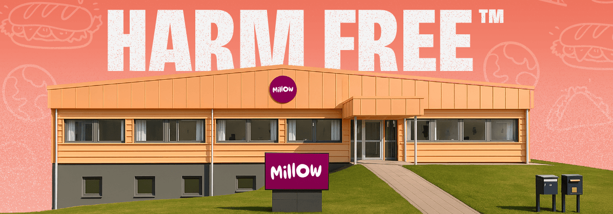 Sweden’s Millow Commissions World-First Oat-and-Mycelium Factory to Craft Beef-Like, Clean-Label Protein