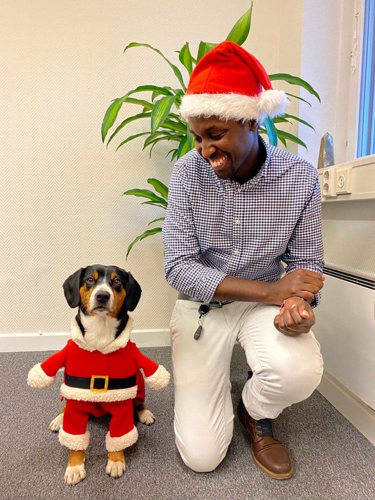 🎄 A Sustainable Christmas with Millow 🌟