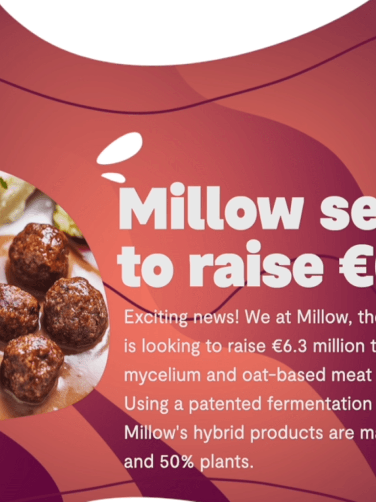 Millow opens its first pre-A investment round